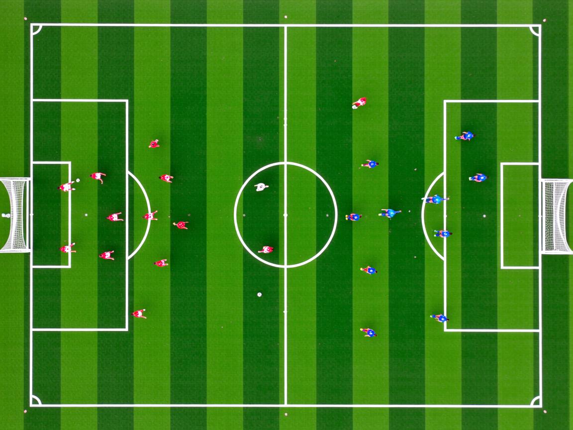 仰泳小将刷新德国国内纪录，世界仰泳顶尖运动员  第2张
